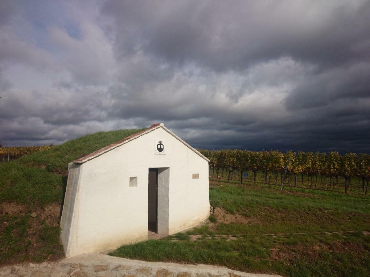 Apartamento Weingut Wagner Leodagger Exterior foto